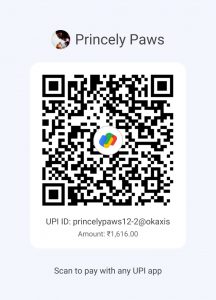 Princely Paws Connect with your Pet Online workshop QR Code