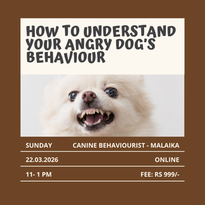How to understand your angry dog's behaviour online workshop 22nd March 2026